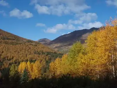 Fox creek cabin