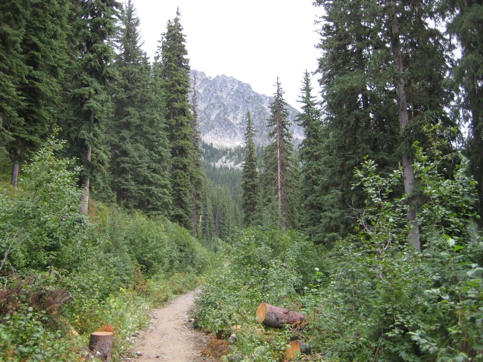 Photo of Kokanee Glacier Park
