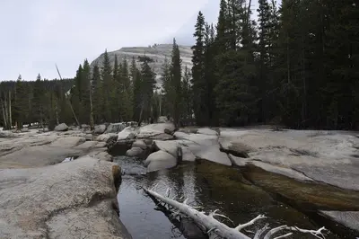Tuolumne Meadows - Lyell Fork of the Tuolumne River - 06