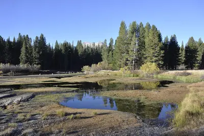 Tuolumne Meadows - Lyell Fork of the Tuolumne River - 02