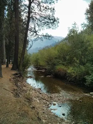 Let's Talk A Walk In The Woods (14107937796)