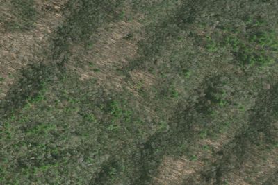 Mountaineer Campsites