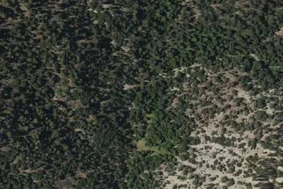 Dobbs Cabin Camp