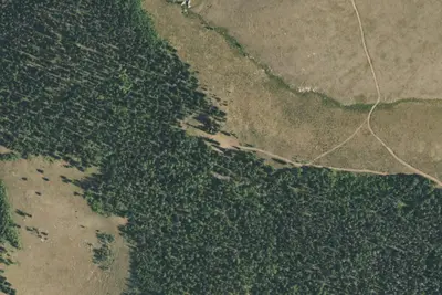 Camp site
