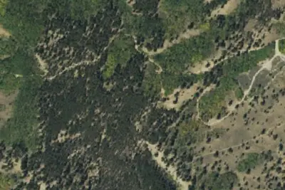 Camp site