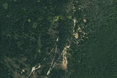 Camp site