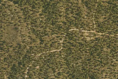 Site 5