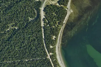 Camping Wilcox