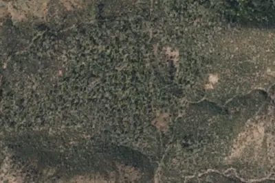 Camp site