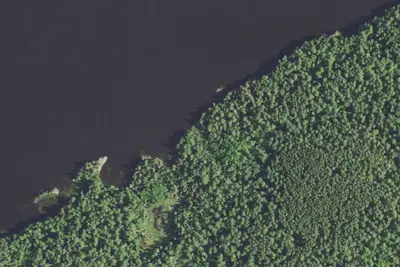 Camp site