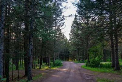 Eckbeck Campground, Minnesota (45842131421)