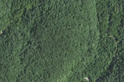 Camp site (Forest Service)