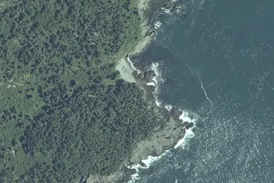 Black Point Cove