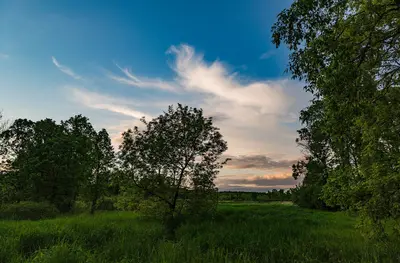 Sunset - William O'Brien State Park, Minnesota (35035351655)
