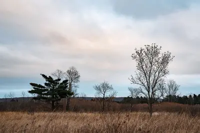 Late Autumn at William O'Brien State Park, Minnesota (45299095734)