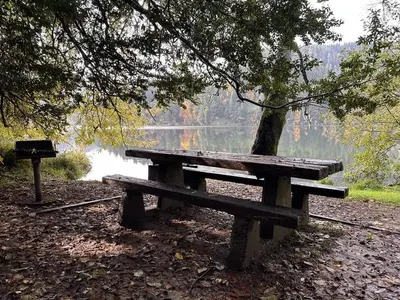 Close-up of one of two day use area picnic benches and grill