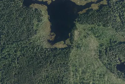 Expérience Forêt Boréale