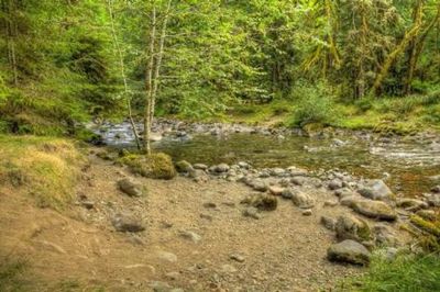 North Fork Bear Group Camp