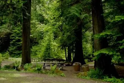 North Fork Bear Group Camp