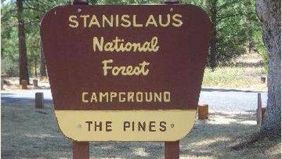 Pines Stanislaus