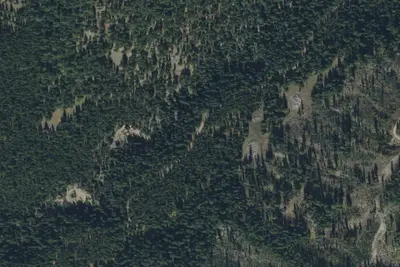 Darroch Creek Road-003