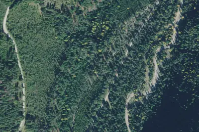 Jack Pine Flats