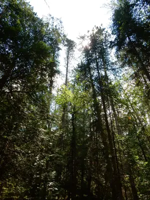 "Barron Canyon" (23891182888)