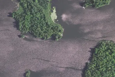Lake Vermilion Site 5