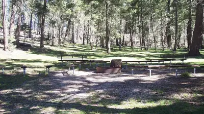 Upper Fir Group Area