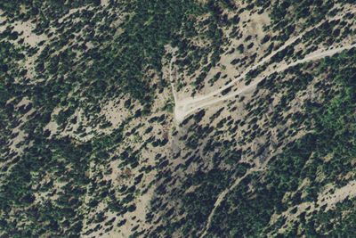 Plant Creek Rd 2132