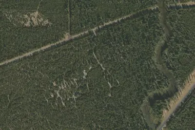 Cultus Corral