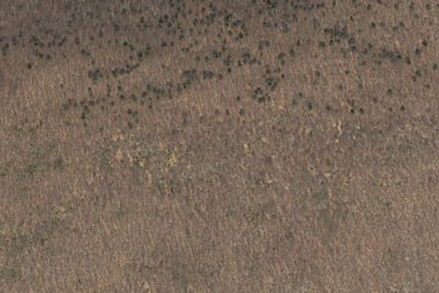 Forest campsite (no water)