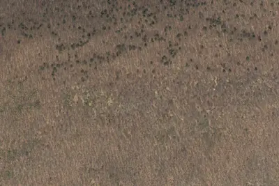 Forest campsite (no water)