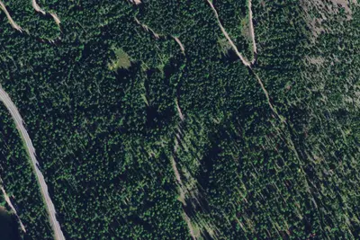 Richmond Ridge 07
