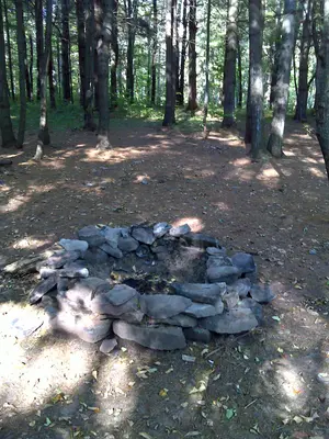 FLT M31 4.2 mi - Designated bivouac near Big Pond - panoramio