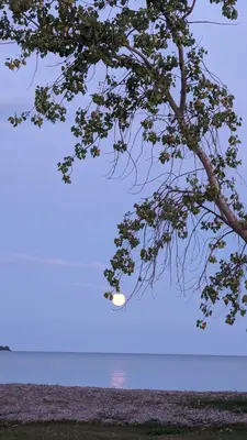 Full Moon on Quinte's isle campark