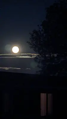 Full Moon Night Sight