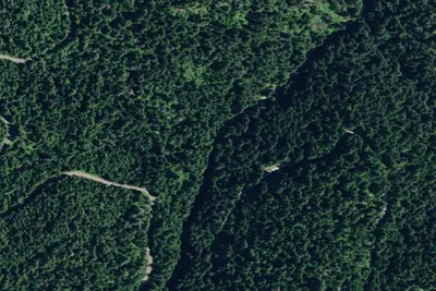 Rd 438 Site 6c