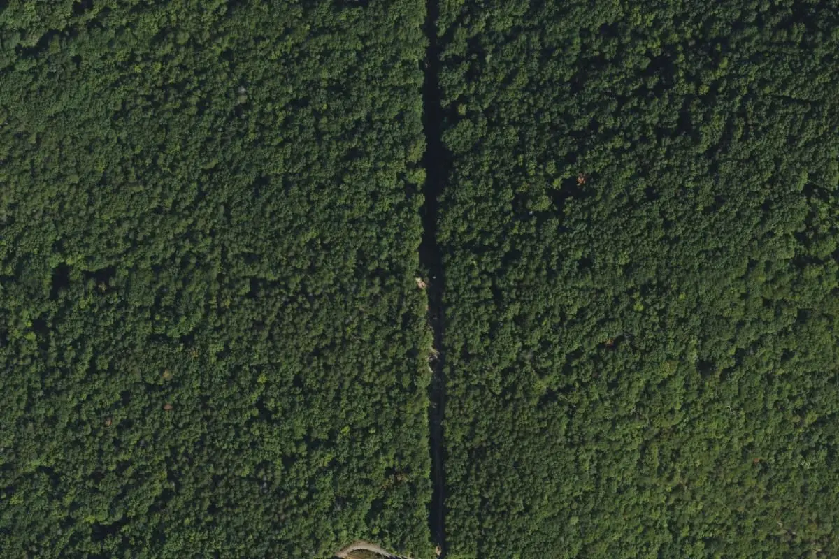 Aerial view