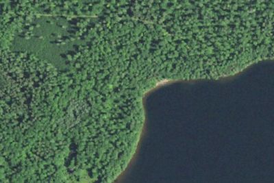 Trout Lake Canoe 3