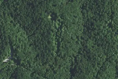 Camp site