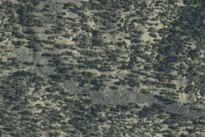 Lily Meadows Camp