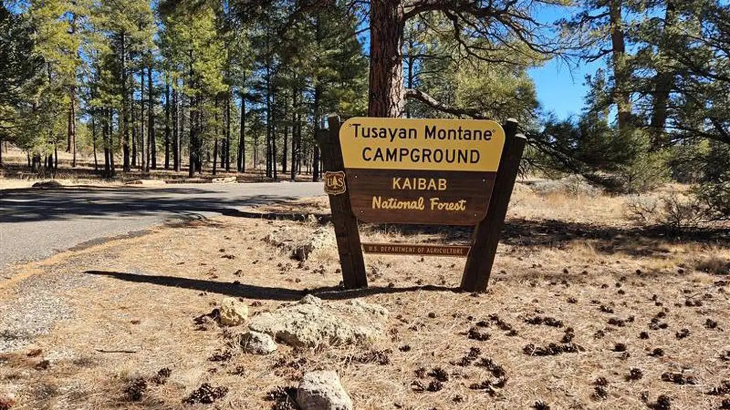 A yellow and brown Forest Service sign identifying the entrance to Tusayan-Montane Campground on the Kaibab National Forest.