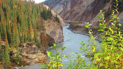 McKinley Park, AK, USA - panoramio - Roger Sylvia (2)