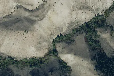 Camp site