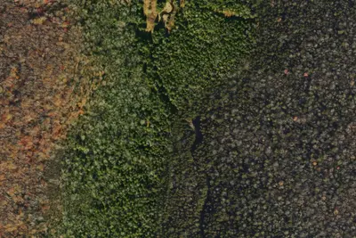 Camp site