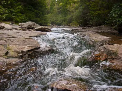 Creek - panoramio (6)