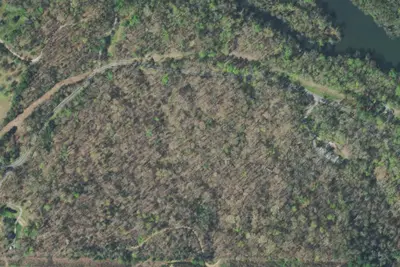 Camp site