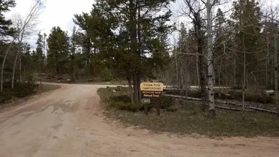 Yellow Pine Campground (WY)