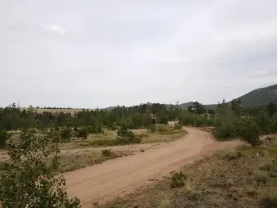Yellow Pine CG near site 15